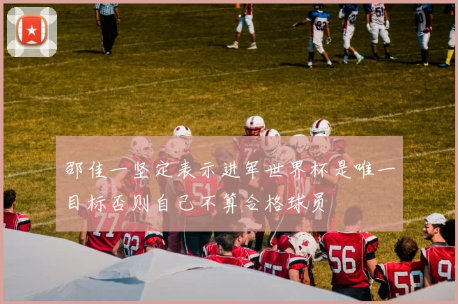 邵佳一坚定表示进军世界杯是唯一目标否则自己不算合格球员