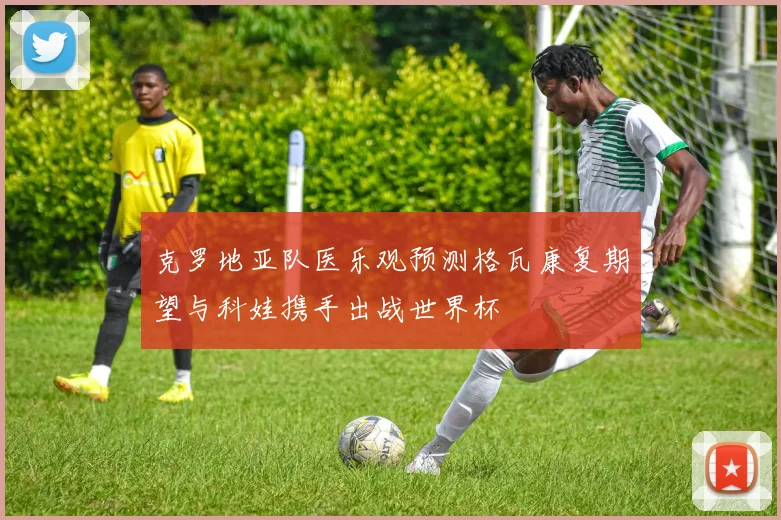 克罗地亚队医乐观预测格瓦康复期望与科娃携手出战世界杯