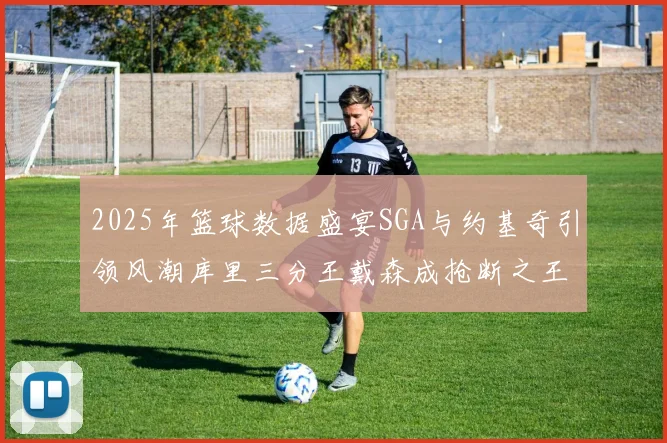 2025年篮球数据盛宴SGA与约基奇引领风潮库里三分王戴森成抢断之王