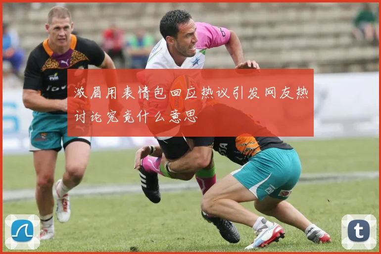 浓眉用表情包回应热议引发网友热讨论究竟什么意思